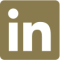 Social Icon 2